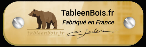 Table basse en poutre de bois vieilli 80x60x26 cm Premium – Image 3